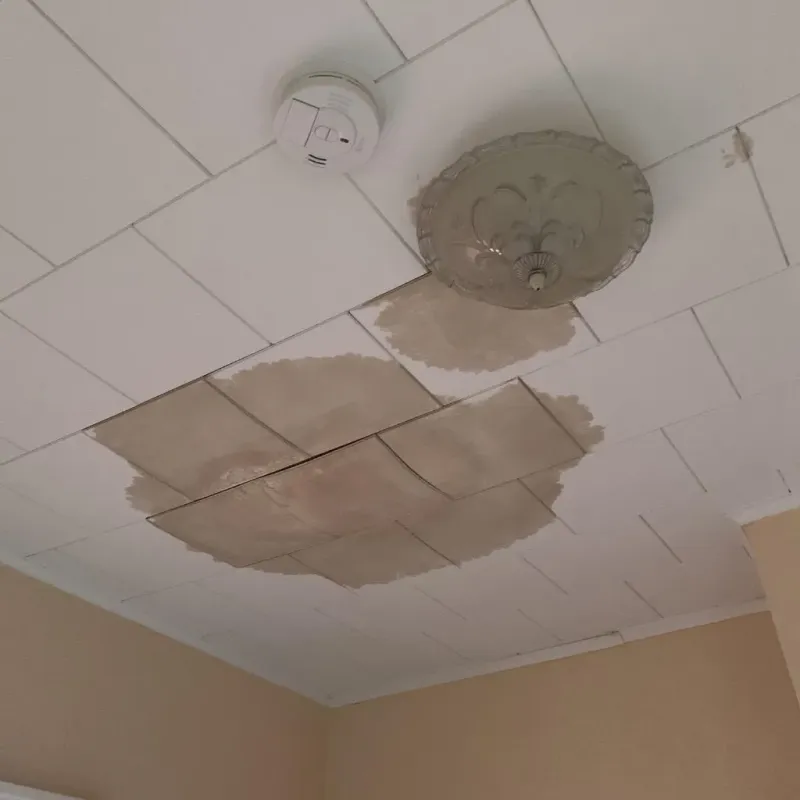 Ceiling Water Damage Repair in Mastic, NY