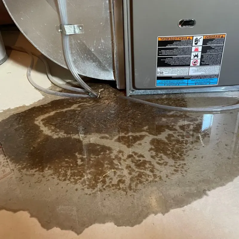 Pipe Burst and Leak Restoration in Mastic, NY